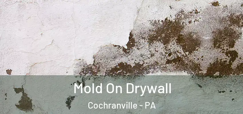 Mold On Drywall Cochranville - PA