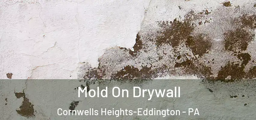  Mold On Drywall Cornwells Heights-Eddington - PA