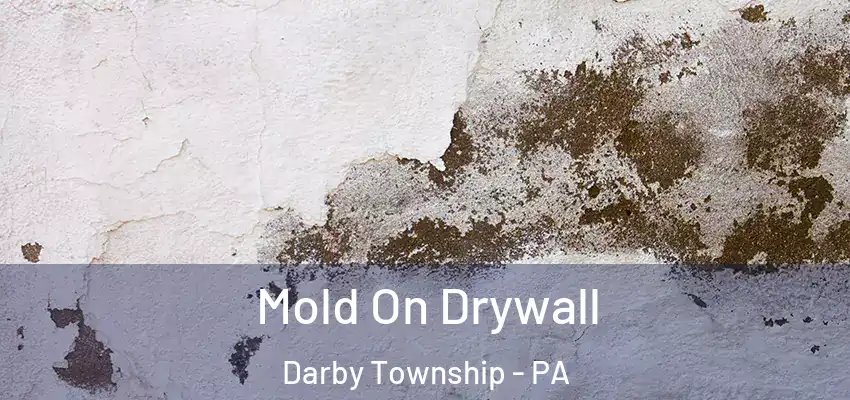 Mold On Drywall Darby Township - PA
