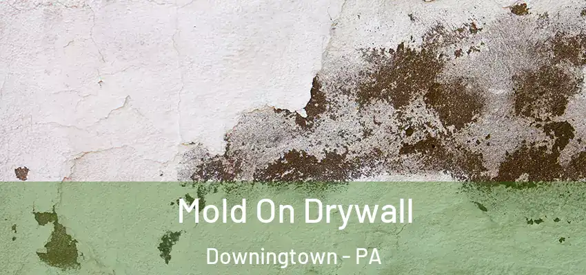 Mold On Drywall Downingtown - PA