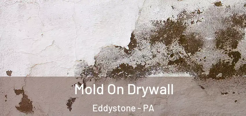 Mold On Drywall Eddystone - PA
