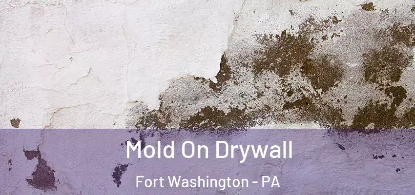 Mold On Drywall Fort Washington - PA