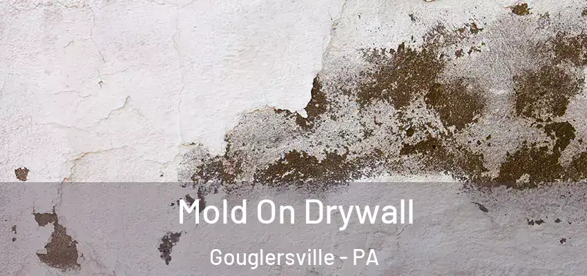 Mold On Drywall Gouglersville - PA