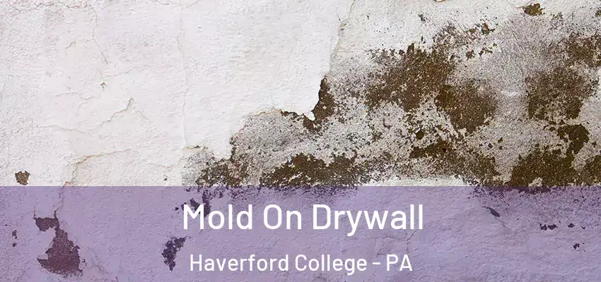  Mold On Drywall Haverford College - PA