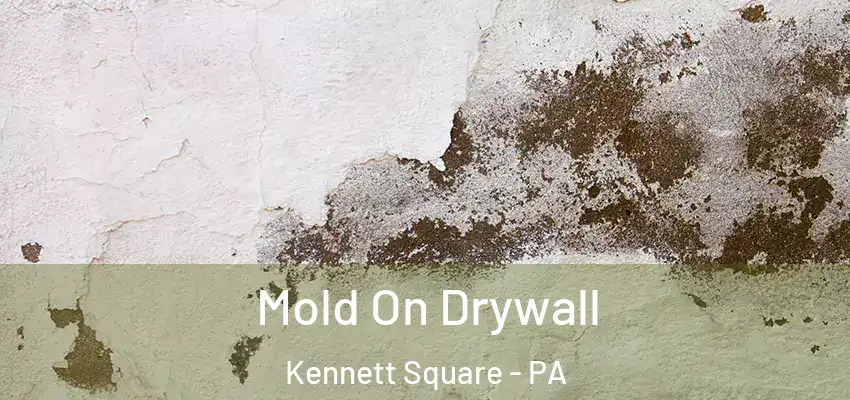  Mold On Drywall Kennett Square - PA