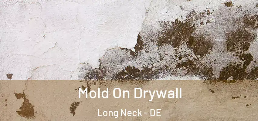  Mold On Drywall Long Neck - DE