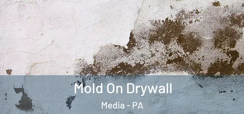  Mold On Drywall Media - PA