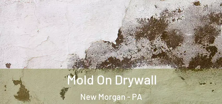Mold On Drywall New Morgan - PA
