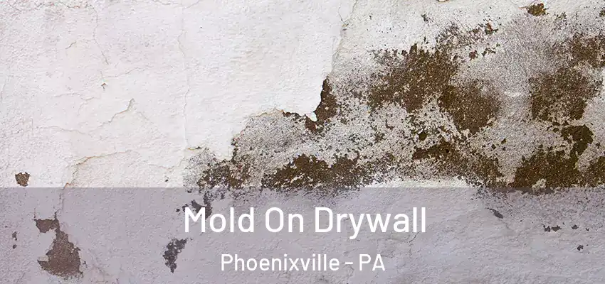  Mold On Drywall Phoenixville - PA