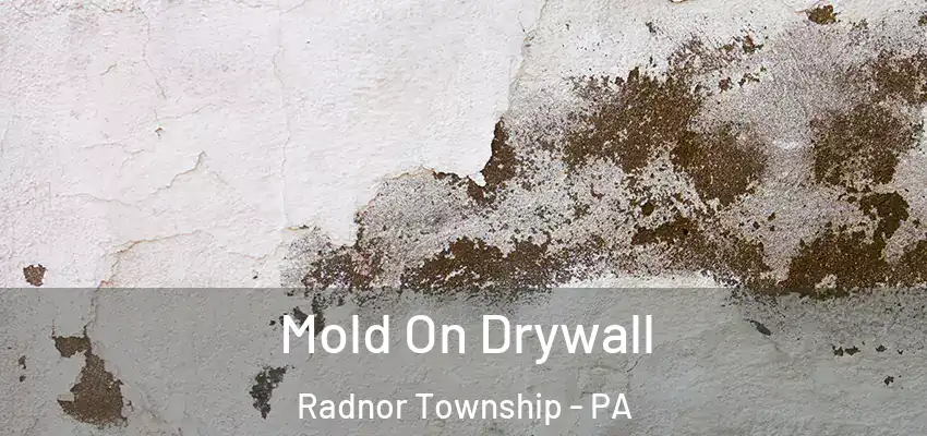  Mold On Drywall Radnor Township - PA