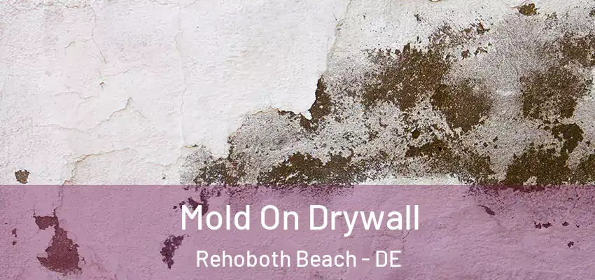Mold On Drywall Rehoboth Beach - DE