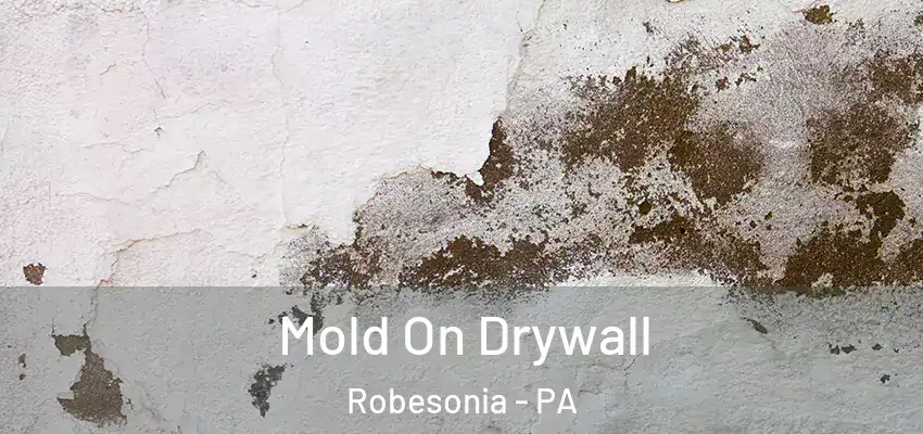  Mold On Drywall Robesonia - PA