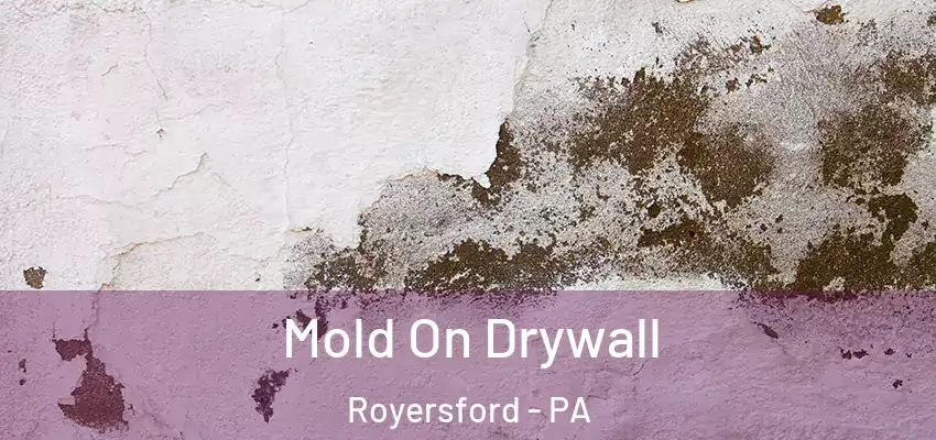  Mold On Drywall Royersford - PA