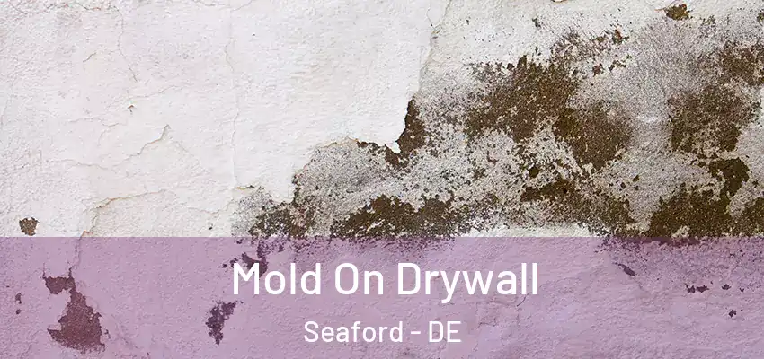  Mold On Drywall Seaford - DE