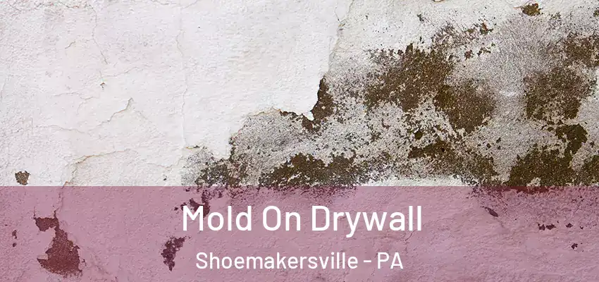  Mold On Drywall Shoemakersville - PA
