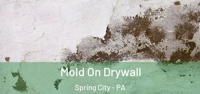  Mold On Drywall Spring City - PA