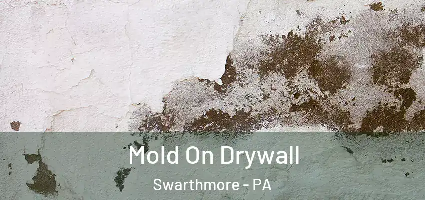 Mold On Drywall Swarthmore - PA