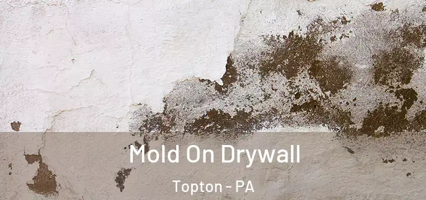  Mold On Drywall Topton - PA
