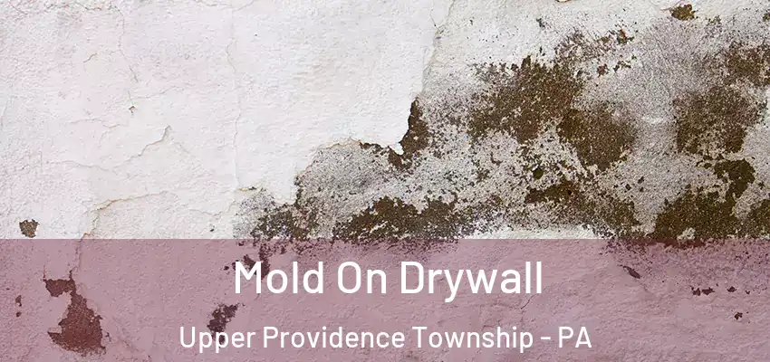 Mold On Drywall Upper Providence Township - PA