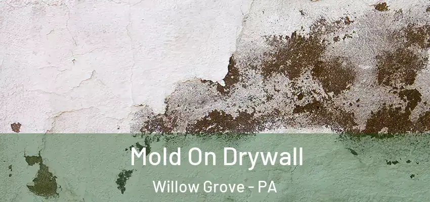  Mold On Drywall Willow Grove - PA