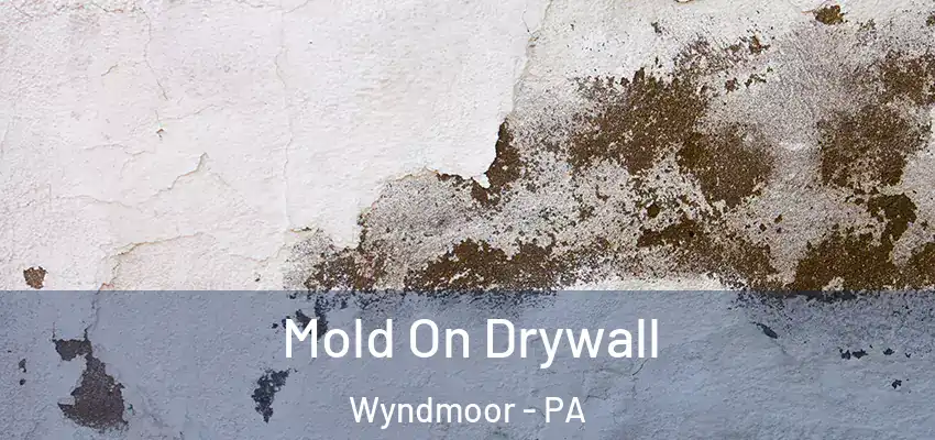Mold On Drywall Wyndmoor - PA