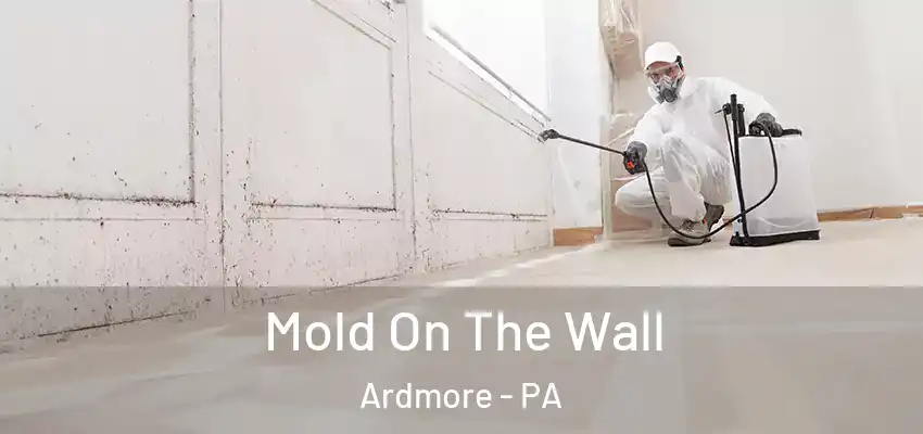 Mold On The Wall Ardmore - PA