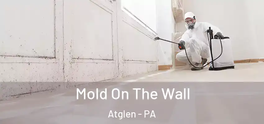 Mold On The Wall Atglen - PA