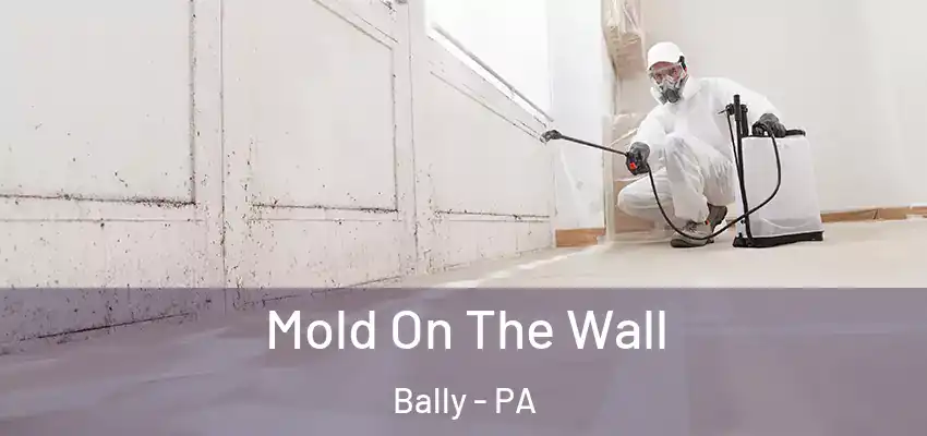 Mold On The Wall Bally - PA