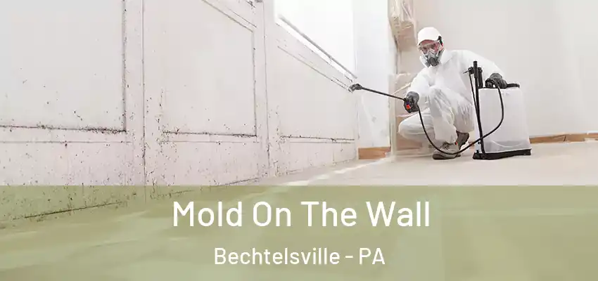 Mold On The Wall Bechtelsville - PA
