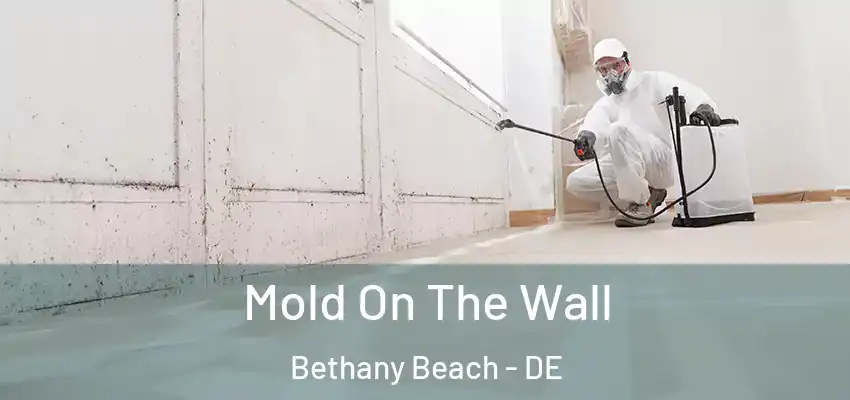  Mold On The Wall Bethany Beach - DE