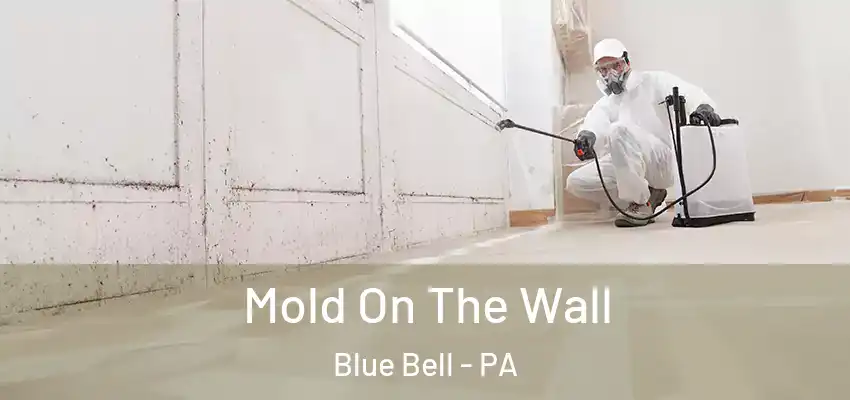 Mold On The Wall Blue Bell - PA