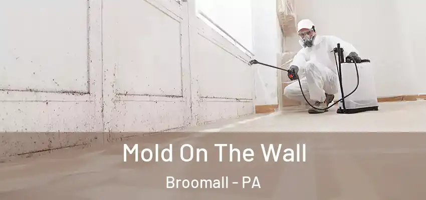 Mold On The Wall Broomall - PA