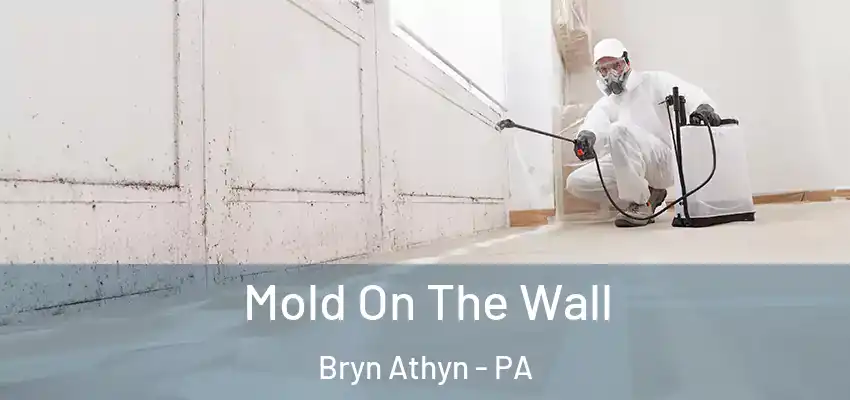  Mold On The Wall Bryn Athyn - PA