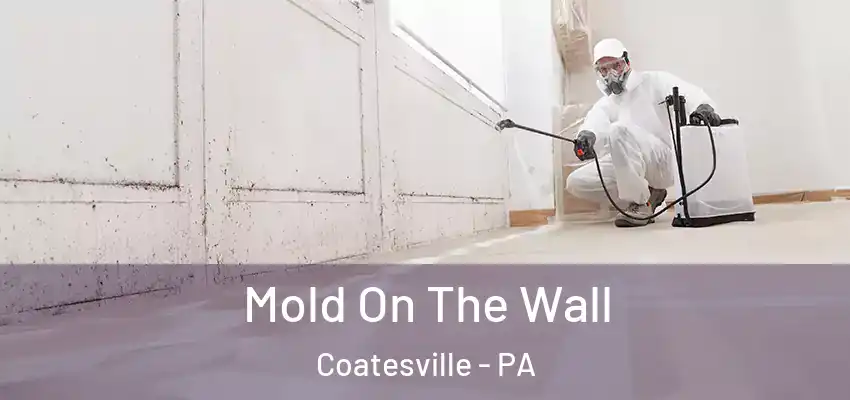 Mold On The Wall Coatesville - PA