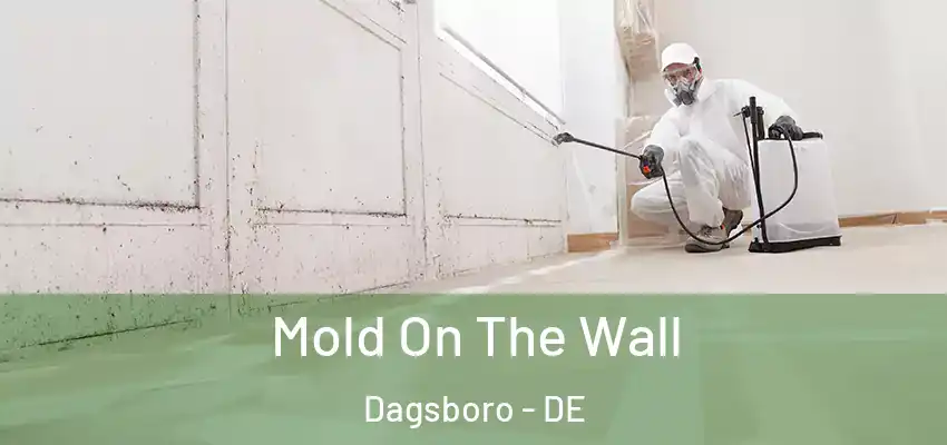 Mold On The Wall Dagsboro - DE