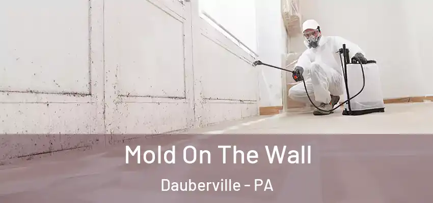  Mold On The Wall Dauberville - PA