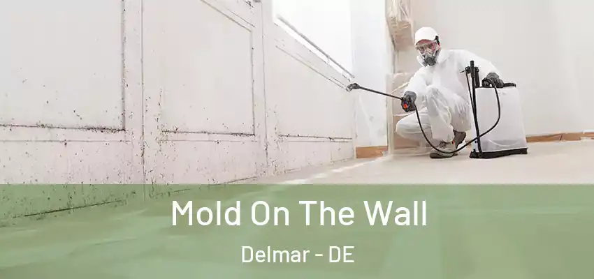 Mold On The Wall Delmar - DE