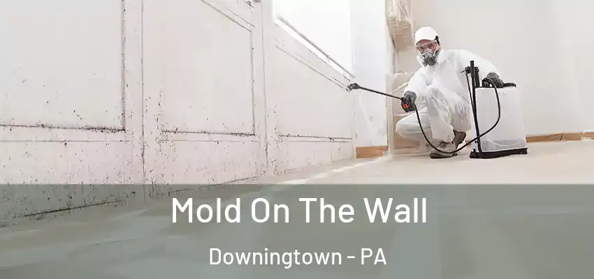 Mold On The Wall Downingtown - PA