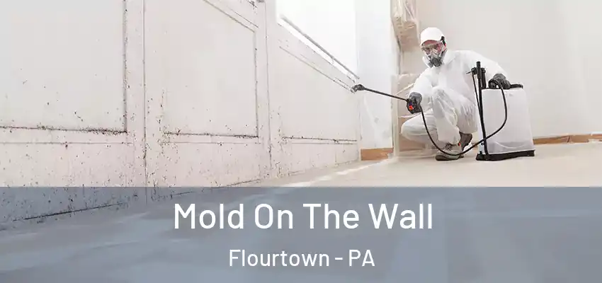 Mold On The Wall Flourtown - PA