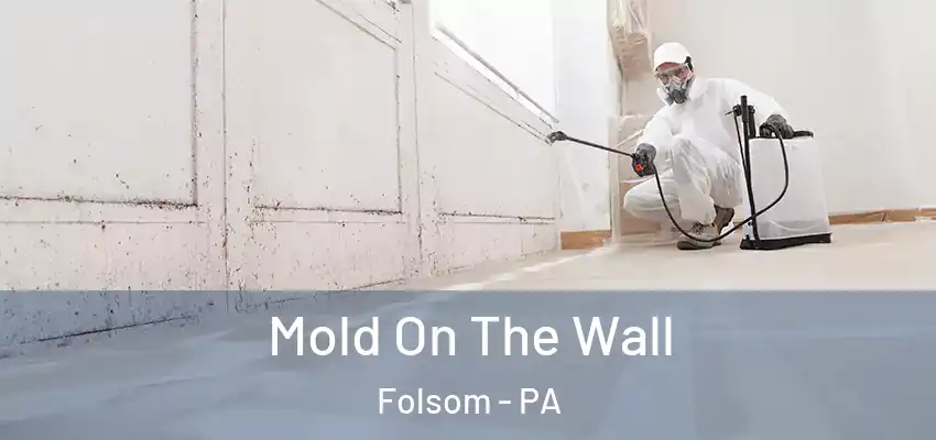 Mold On The Wall Folsom - PA