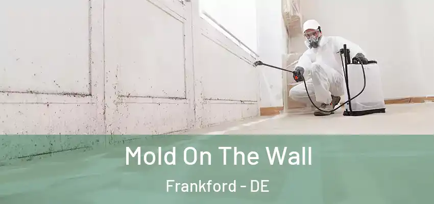 Mold On The Wall Frankford - DE