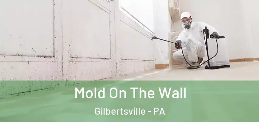 Mold On The Wall Gilbertsville - PA