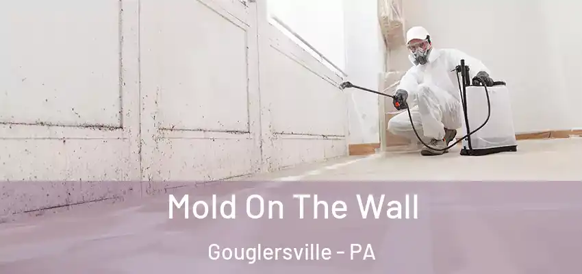  Mold On The Wall Gouglersville - PA