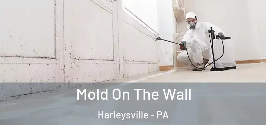 Mold On The Wall Harleysville - PA