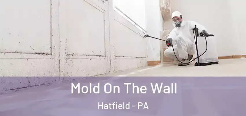 Mold On The Wall Hatfield - PA