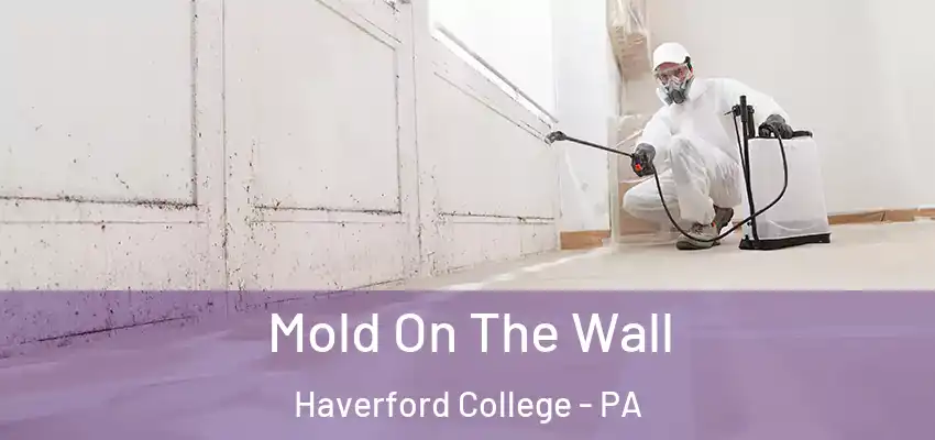 Mold On The Wall Haverford College - PA