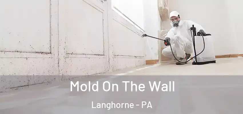 Mold On The Wall Langhorne - PA
