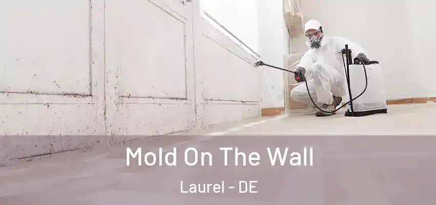Mold On The Wall Laurel - DE