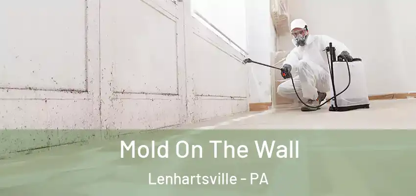 Mold On The Wall Lenhartsville - PA