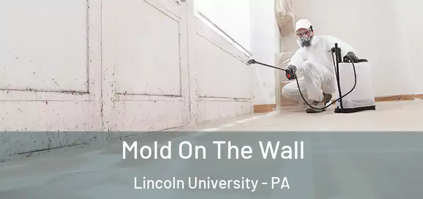  Mold On The Wall Lincoln University - PA